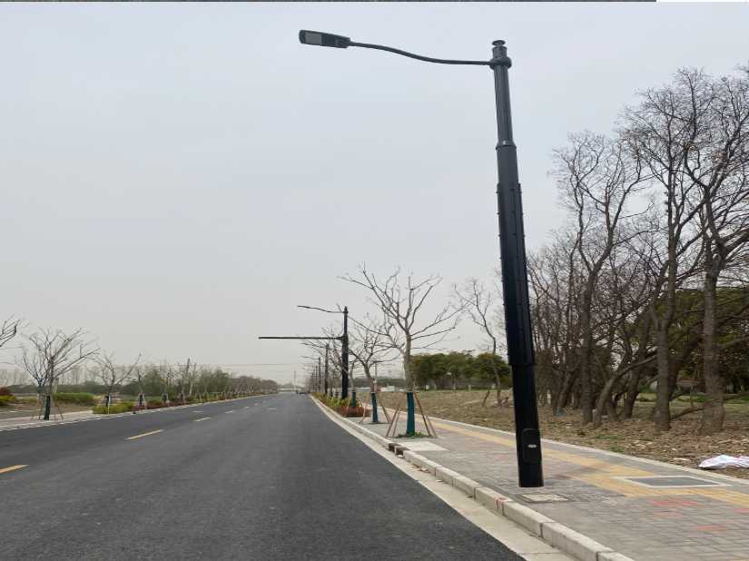 洞头区上海综合杆 太阳能路灯工程